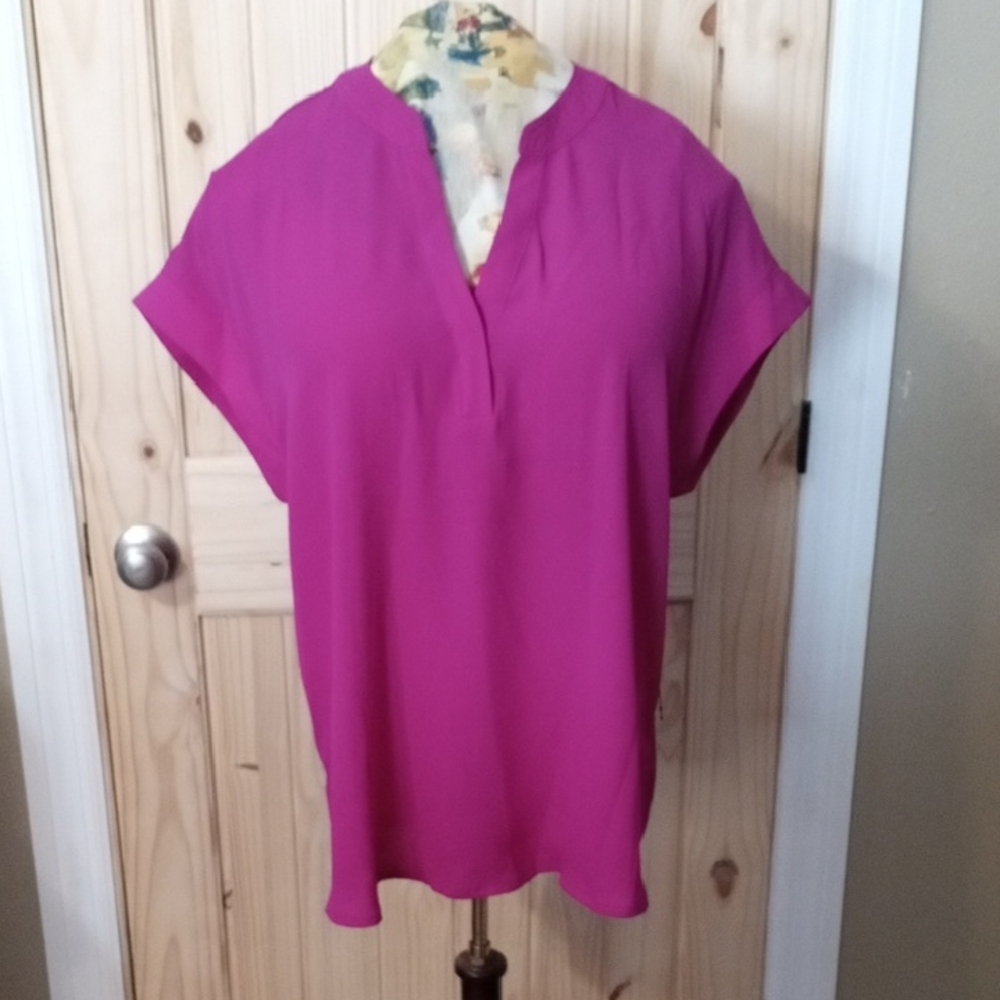Cynthia Steffe Vibrant Pink Blouse